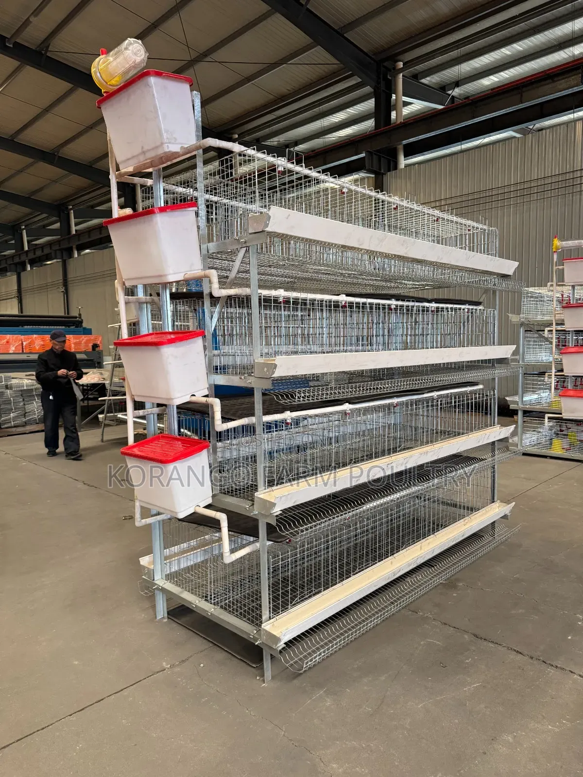 H Type 128 Birds Chicken Cages