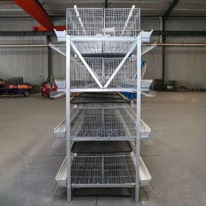 H Type 128 Birds Chicken Cages