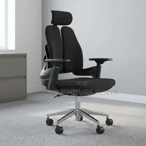 Dual Back Modern Ergonomic Chair
