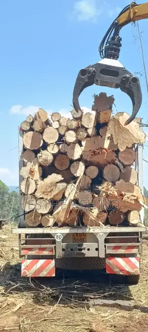 Roofing Timber for Sale