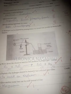 Homeschooling and Online Tutor(maths,chemistry,biology Integrated Sci)