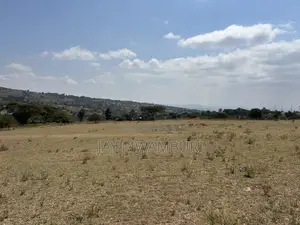 2 Acre Land Mua