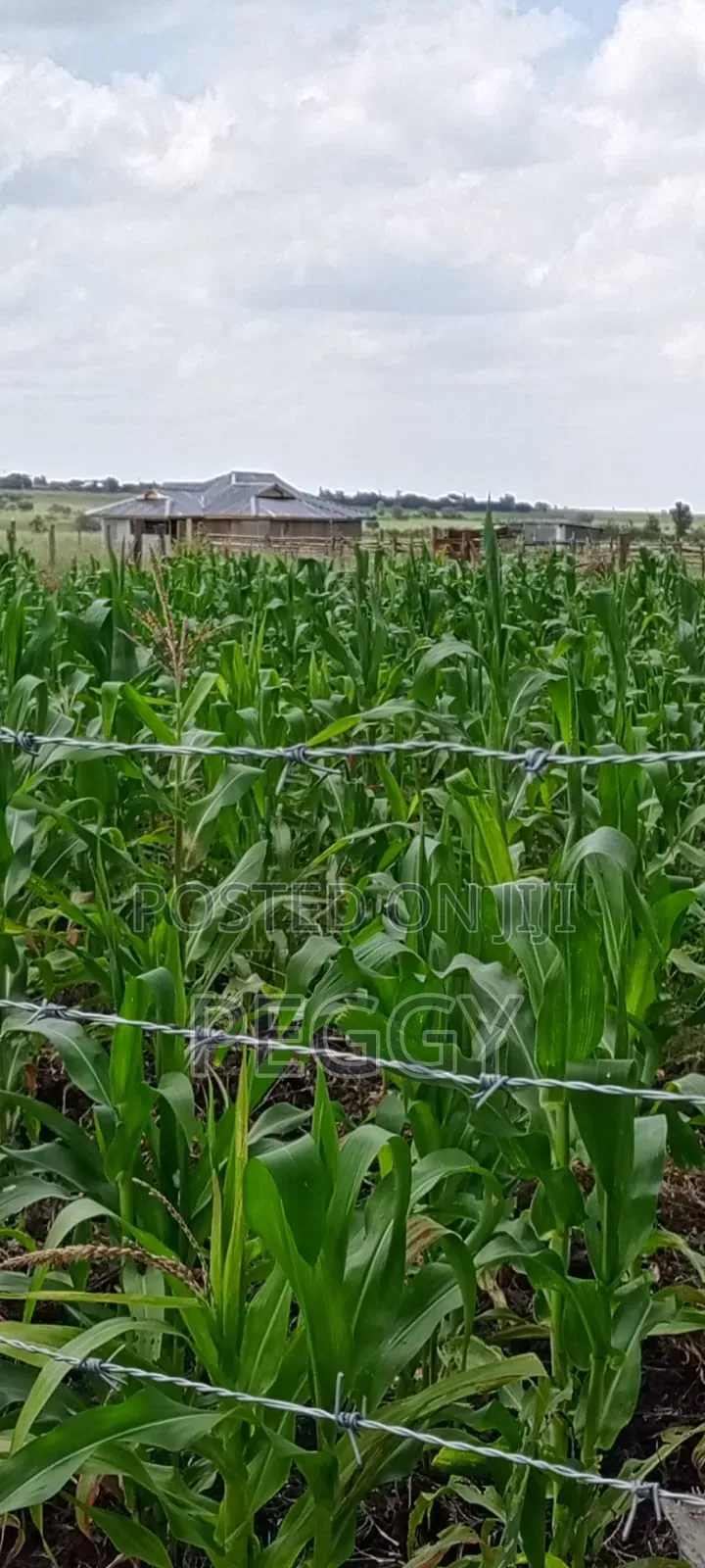 Isinya Paradise Garden Phase 2 Plots for Sale Size 50 X 100