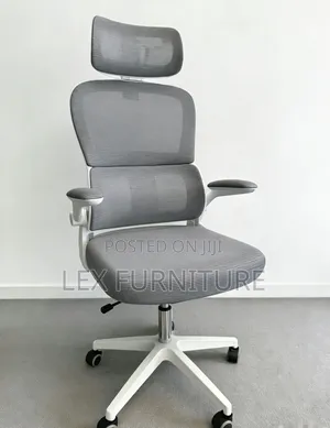 Adjustable Arm Rest Office Chair