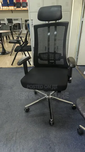D9 Orthopedic Executive Office Chair