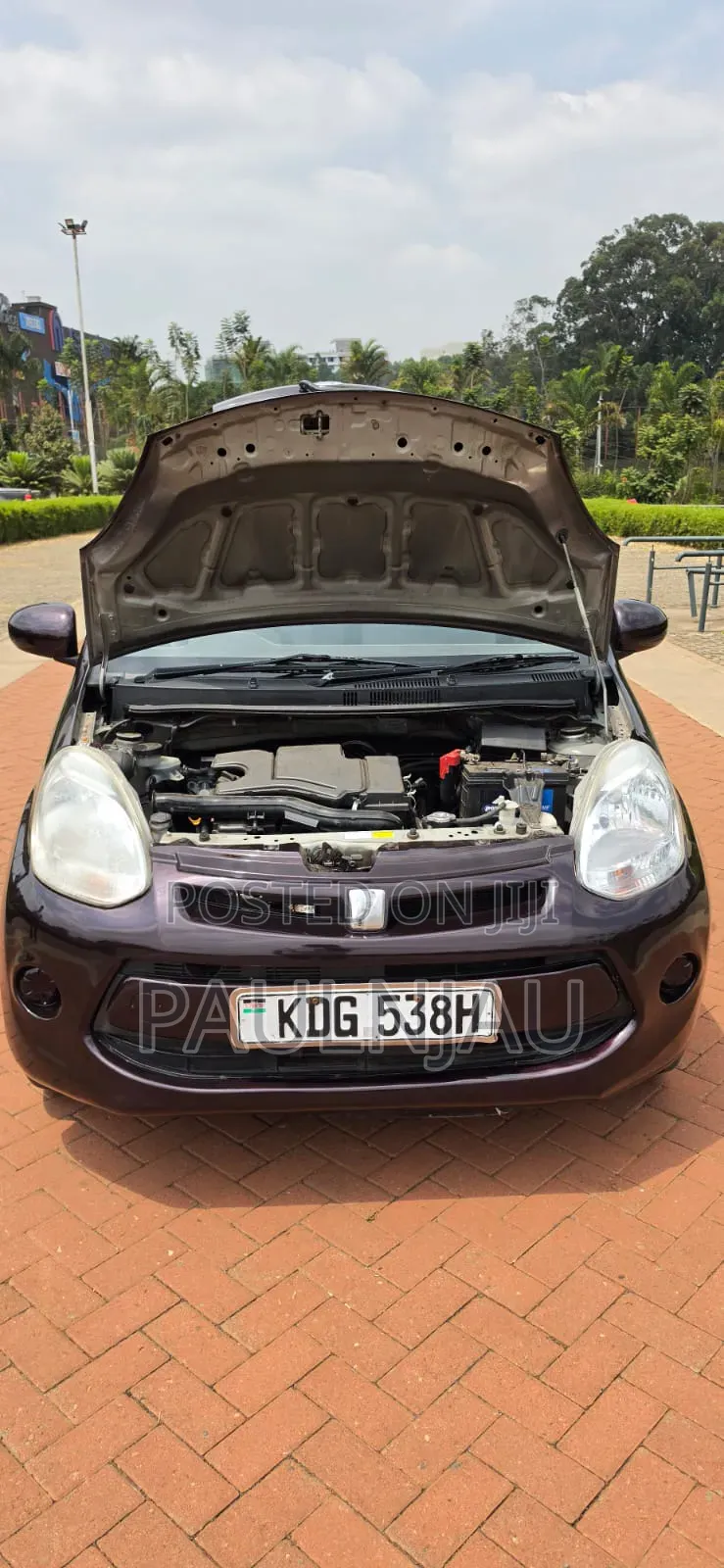 Toyota Passo 2016