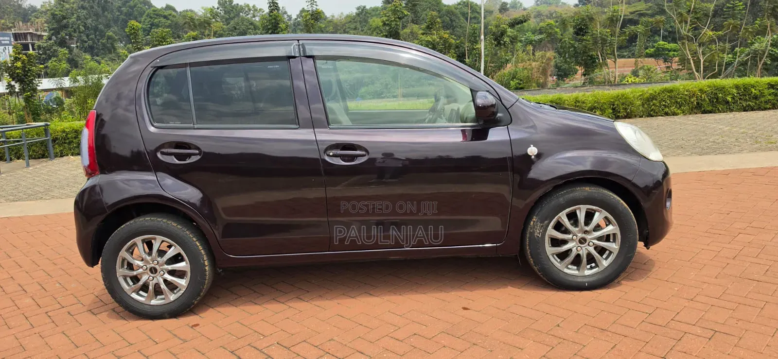 Toyota Passo 2016