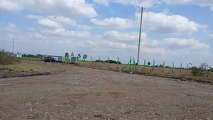 Prime 50x100 Plots - Ruiru (Mwalimu Farm)
