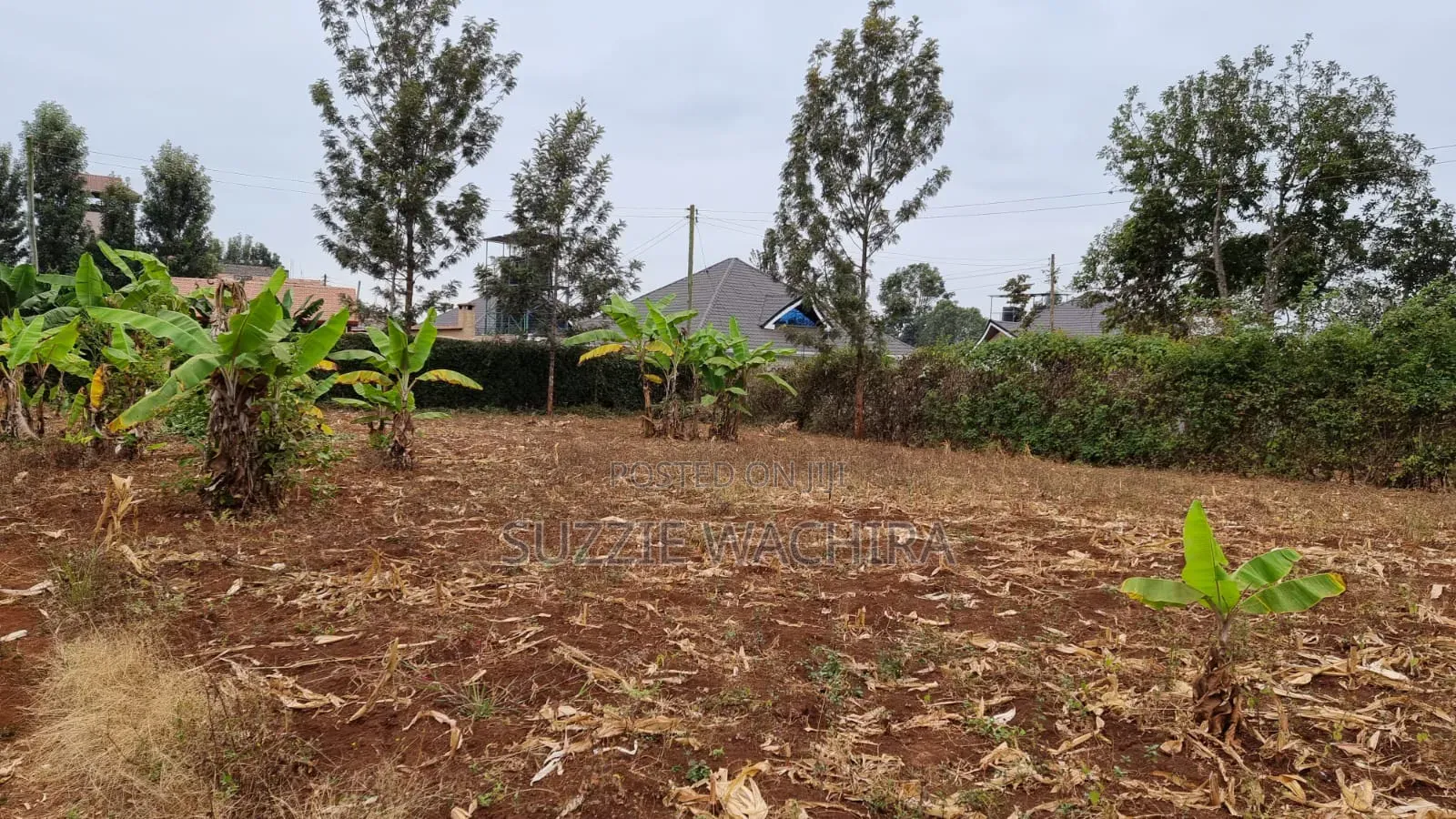 40*80ft Plots for Sale at Kenol.500mtrs Off Muranga Road at 1.75M