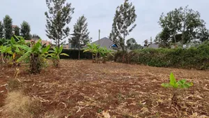 40*80ft Plots for Sale at Kenol.500mtrs Off Muranga Road at 1.75M