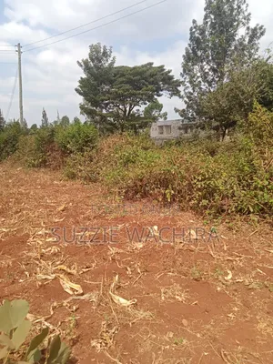 40*80ft Plots for Sale at Kenol.500mtrs Off Muranga Road at 1.75M
