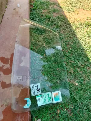 Windshield