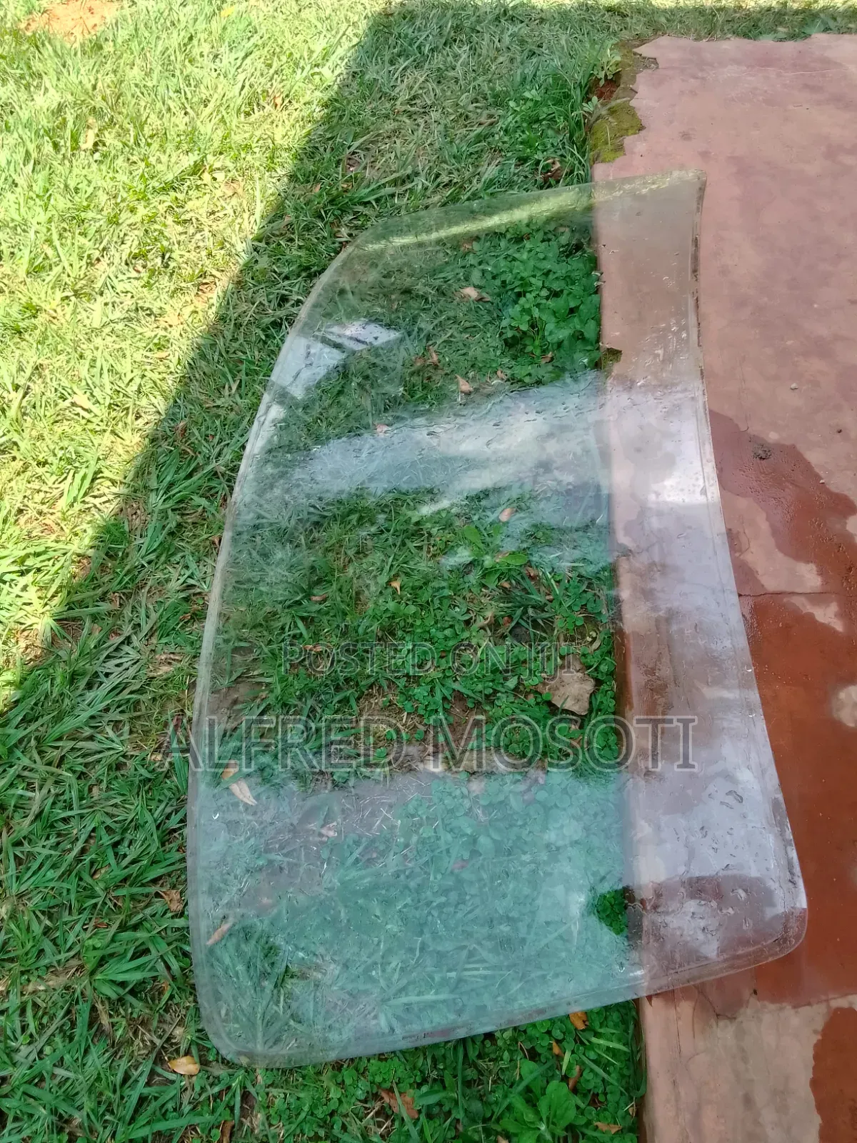Windshield