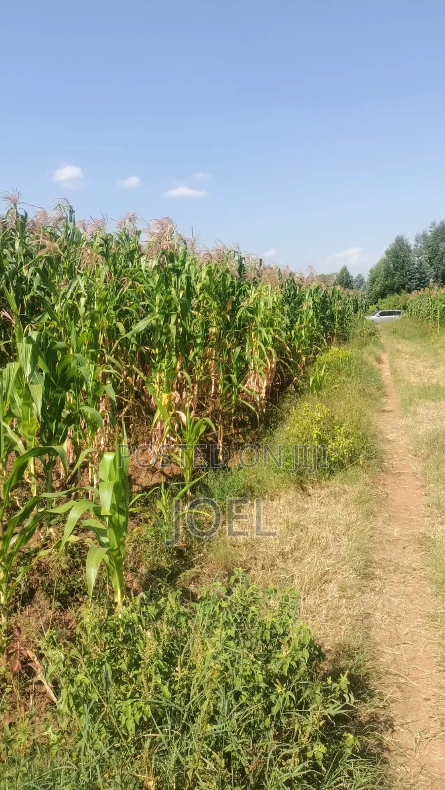 Malindi 70 Acres Touching River Sabaki