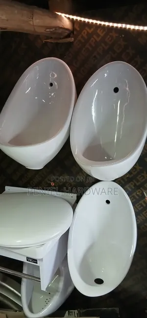 Urinal Bowl