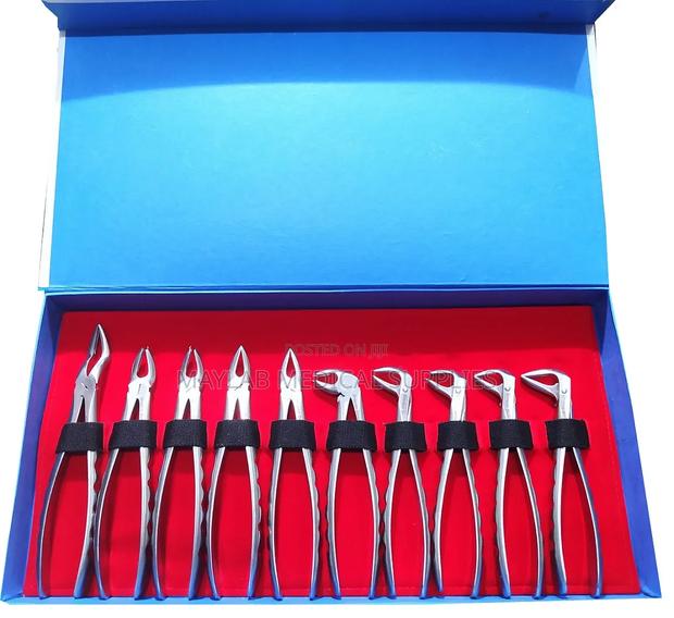 Stainless Steel Dental Extraction Forceps - main view