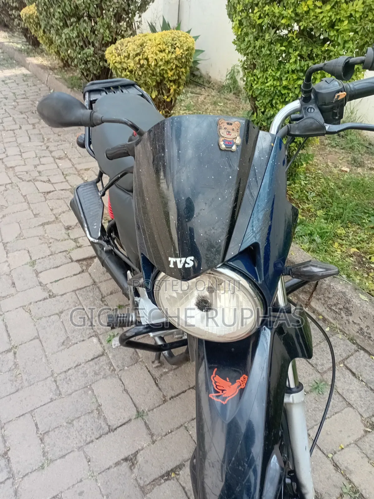 TVS HLX 125 2019 Red