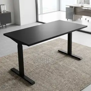 Electric Desk : 1200mm Electric Height Adjustable Desk