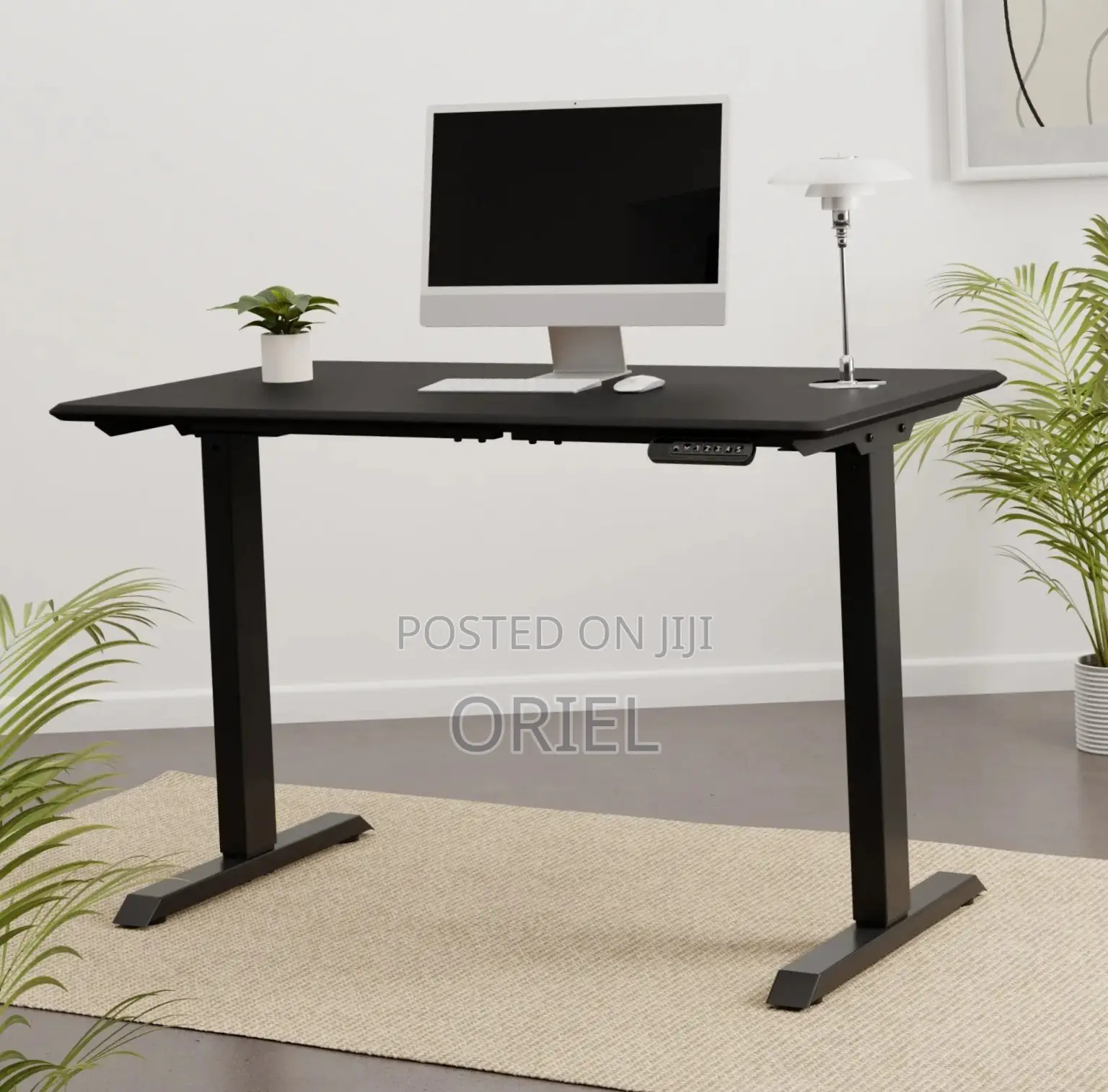 Electric Desk : 1200mm Electric Height Adjustable Desk