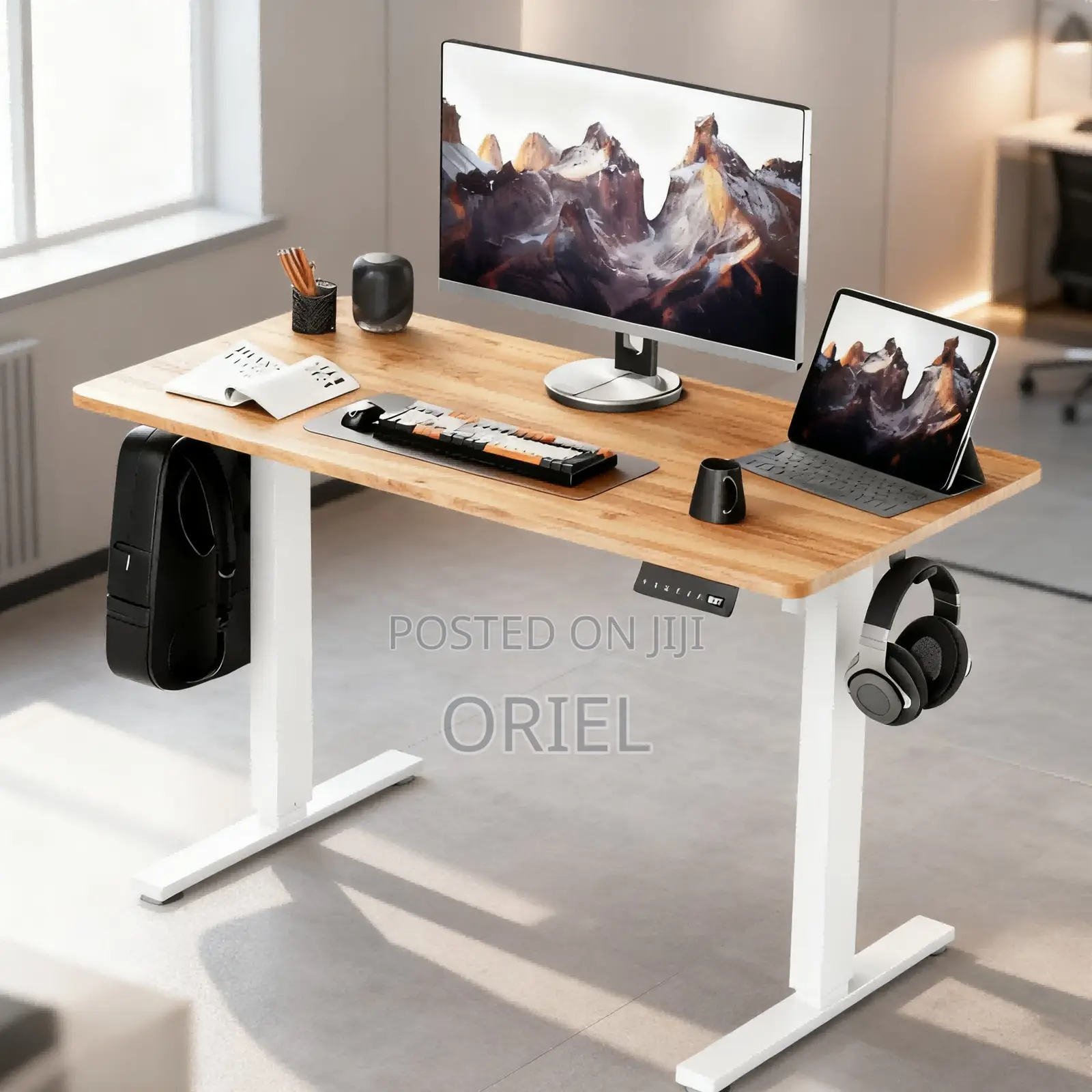 Electric Desk : 1200mm Electric Height Adjustable Desk