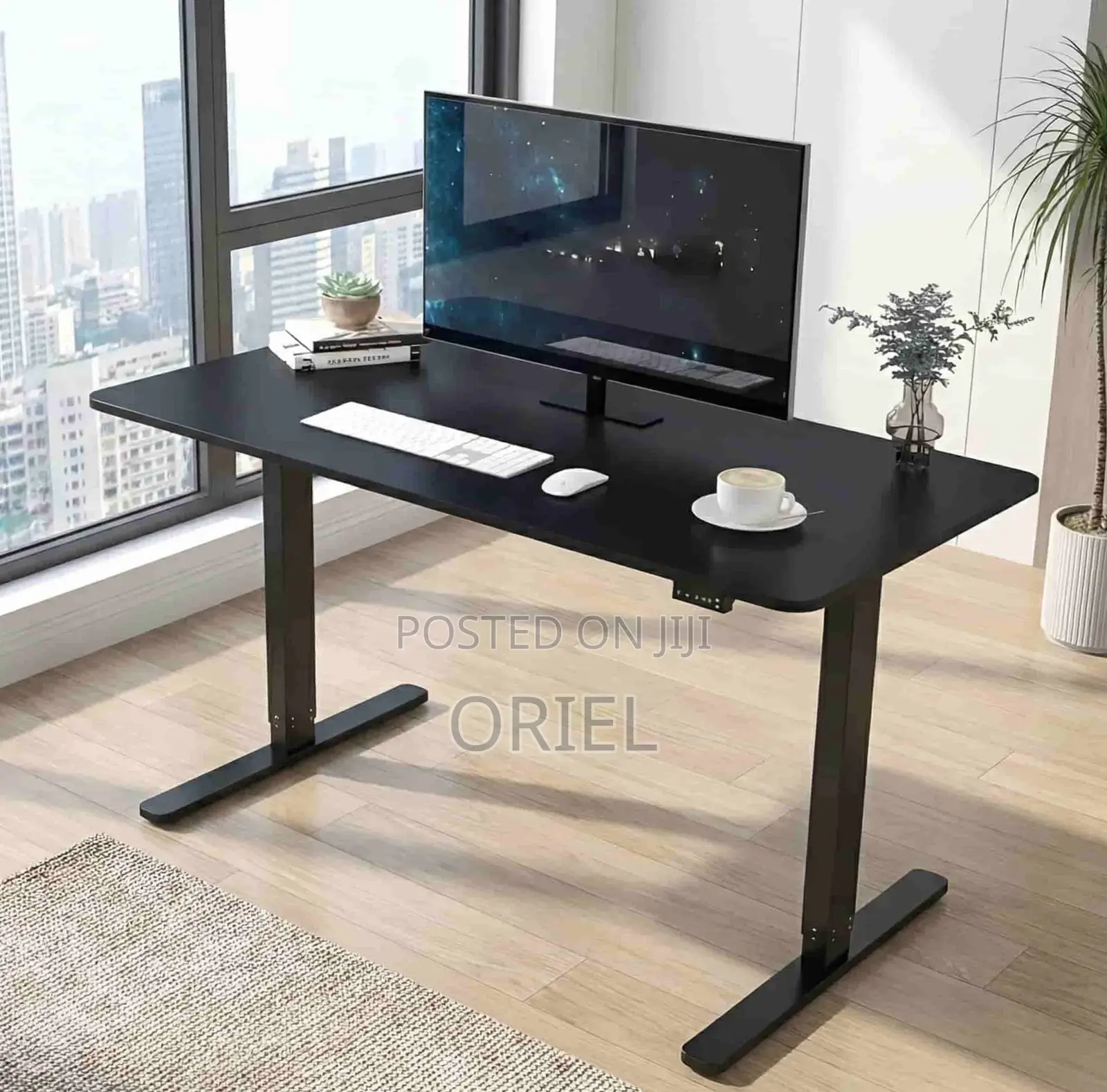Electric Desk : 1200mm Electric Height Adjustable Desk