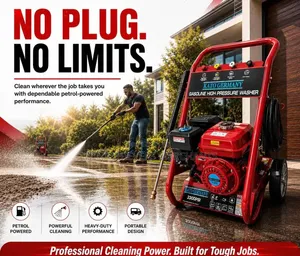 Gasoline High Pressure Washer 3300psi/Kato Germany Pressure Washer