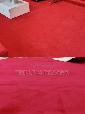 Premium Modern Delta 4mm Carpet Wall to Wall Carpets