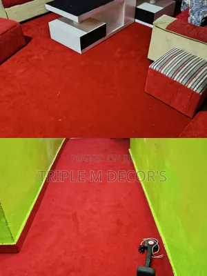 Premium Modern Delta 4mm Carpet Wall to Wall Carpets