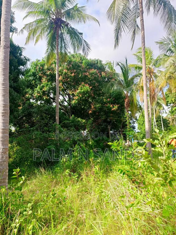 1.5 Acres of Land With Palm Trees on Sale in Kinondo Diani