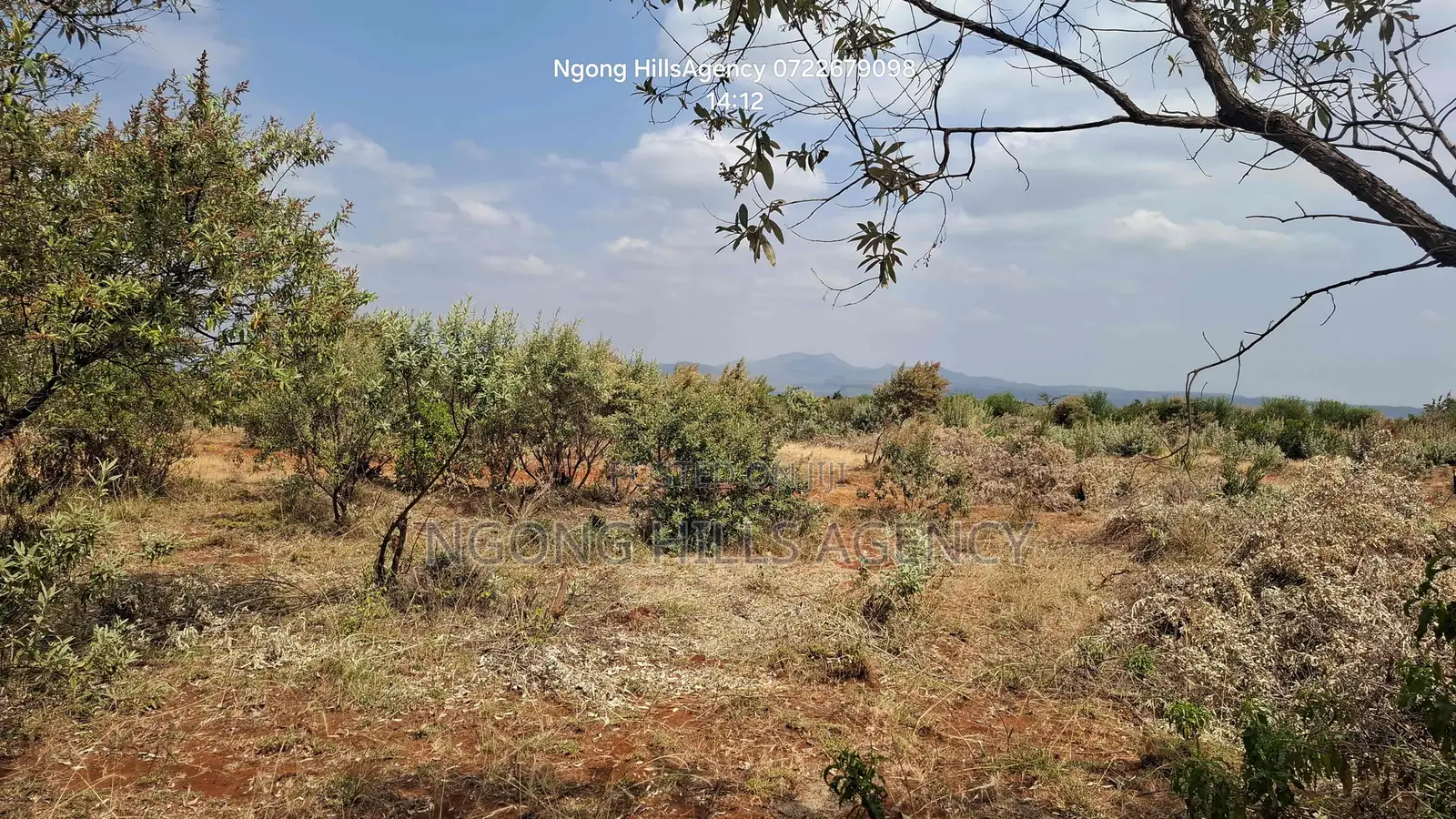 PRIME 1-Acre LAND FOR SALE: Maroroi, Ngong Views Fertile Soil