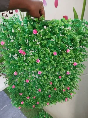 Superb, Beauty Looking Boxwood Panels