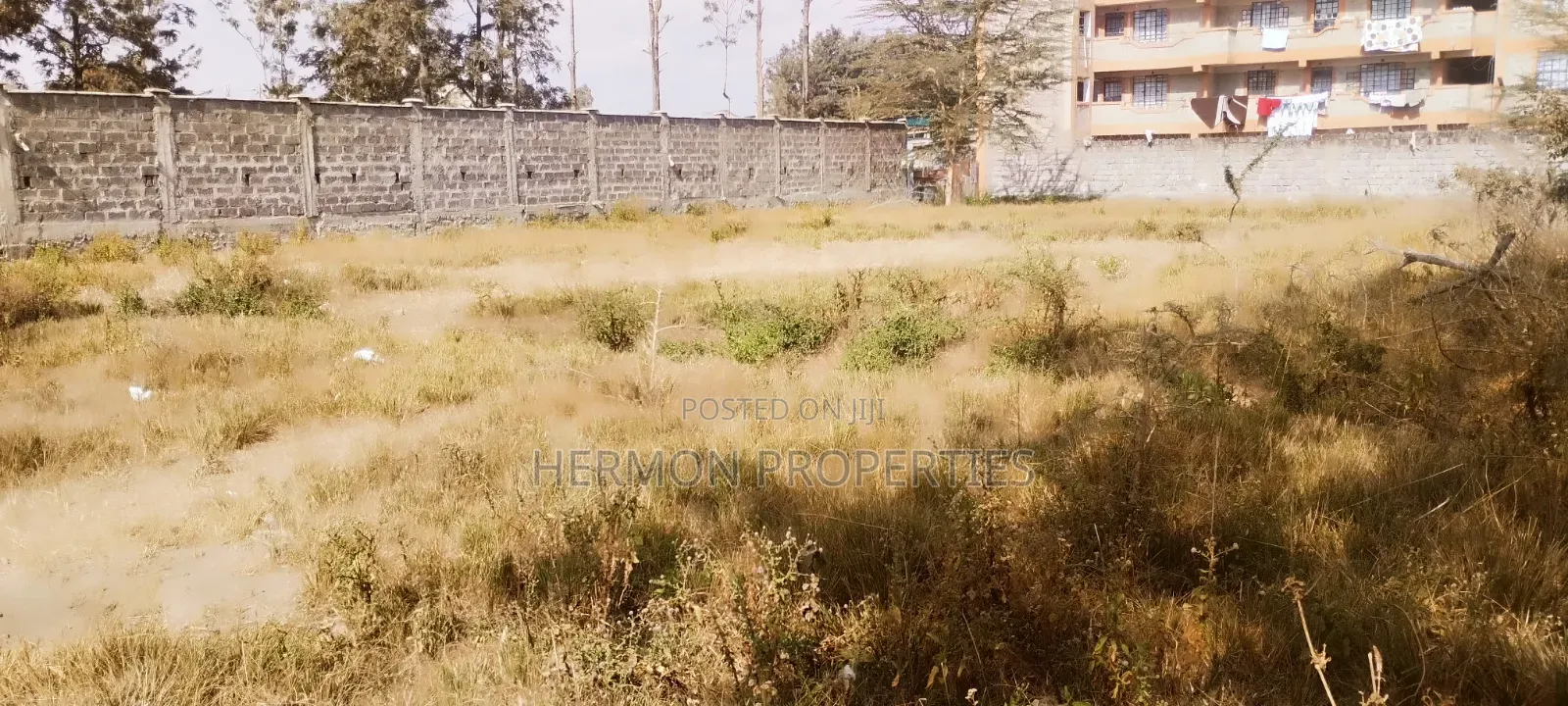 1/4 Acre Prime Land for Sale in Juja