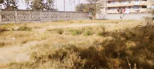 1/4 Acre Prime Land for Sale in Juja