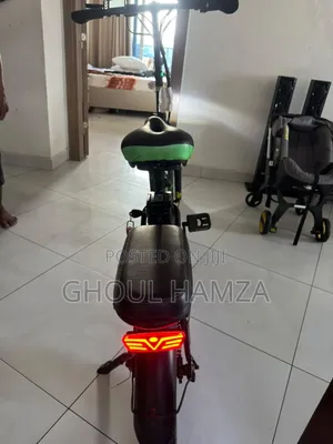 Autodex Sunny 2025 Green