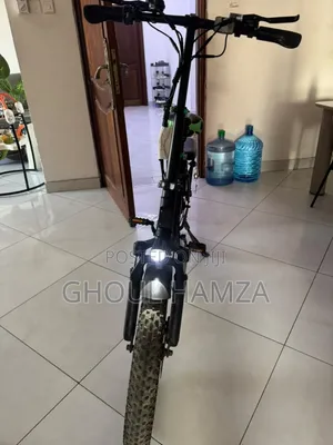 Autodex Sunny 2025 Green