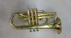 Brand New Gold Brass B-Flat Trumpet – Perfect for Band Church Music