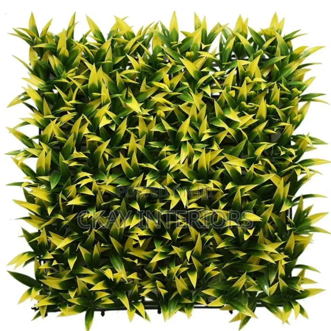 Let Your Walls Speak Elegance With Colourful Boxwood Panels