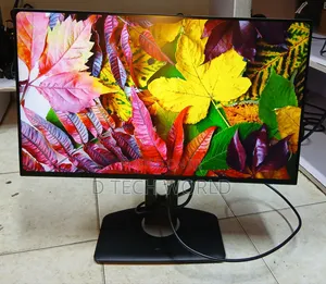 Dell P2425H
24 Inch Fhd(1920*1080) 100hz 
Vga/Hdmi/Display