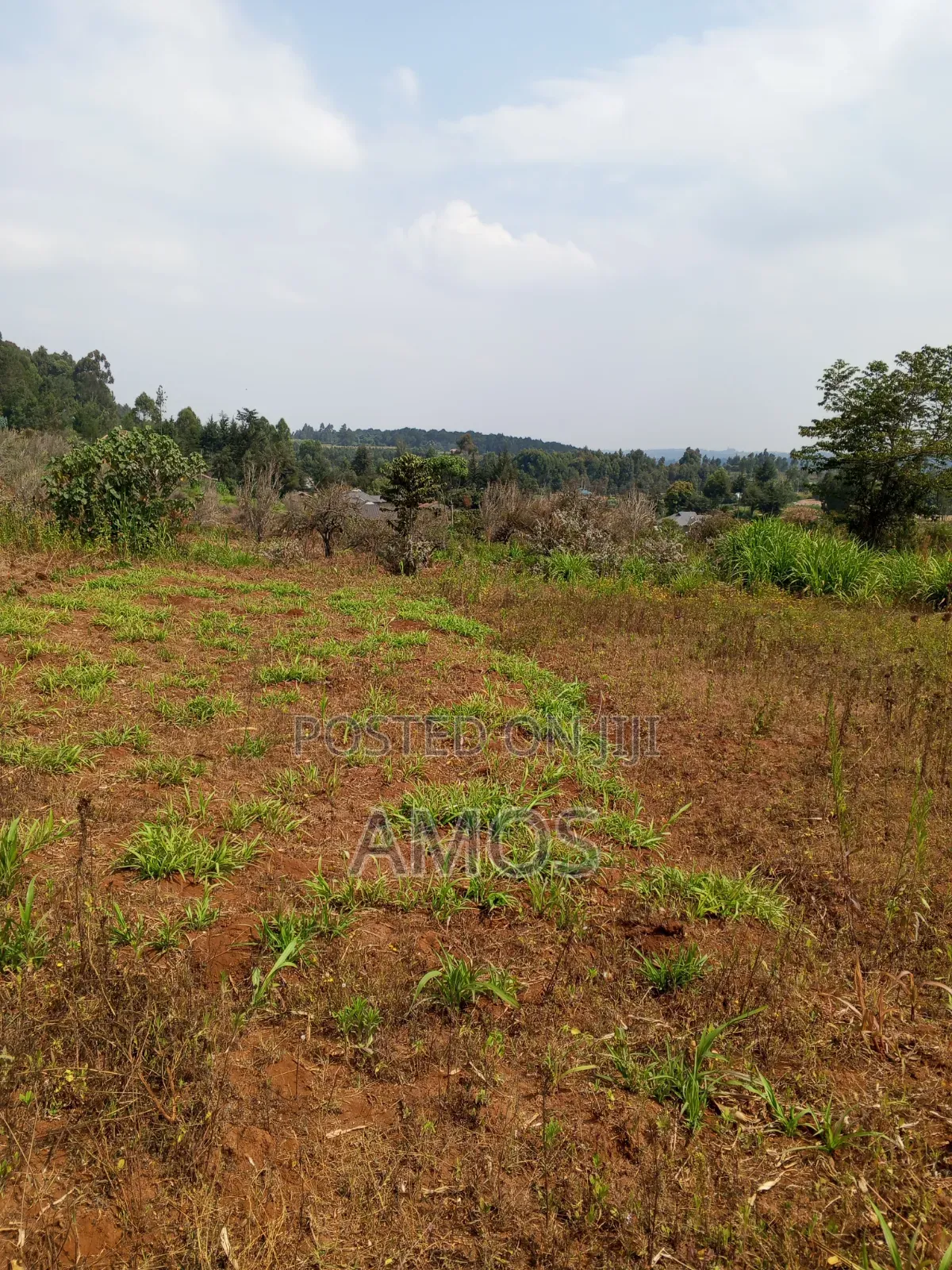 A Full 1⁄4ac Plot for Residential Home in Limuru Bibilioni Ngarariga
