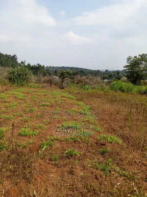A Full 1⁄4ac Plot for Residential Home in Limuru Bibilioni Ngarariga