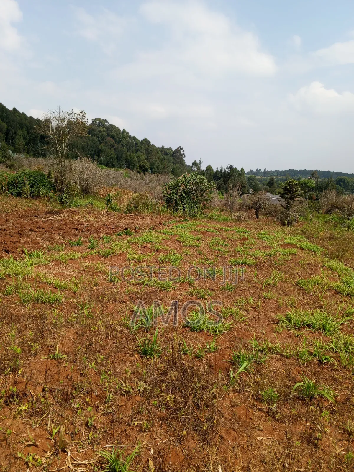 A Full 1⁄4ac Plot for Residential Home in Limuru Bibilioni Ngarariga