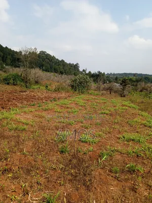 A Full 1⁄4ac Plot for Residential Home in Limuru Bibilioni Ngarariga