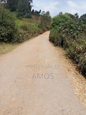 A Full 1⁄4ac Plot for Residential Home in Limuru Bibilioni Ngarariga