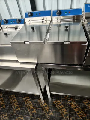 Stainless Steel Twin Deep Fryer for Kitchen