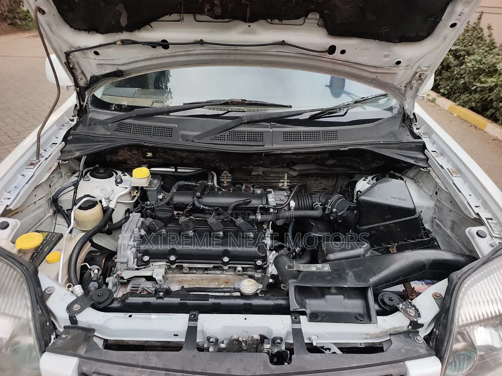 Nissan X-Trail 2006 White