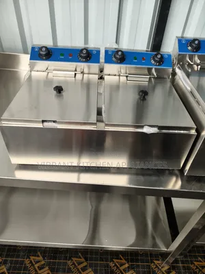 10L+10L Commercial Double Tank Electric Fryer