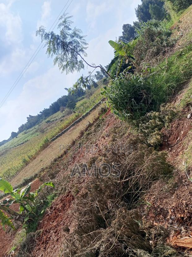 2 AC Land Ideal for Farming or Plots Subdivision in Limuru Kamirithu