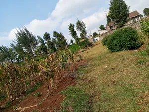 A Full 1⁄8ac Plot Sale in a Middle Class Area of Limuru Kamirithu