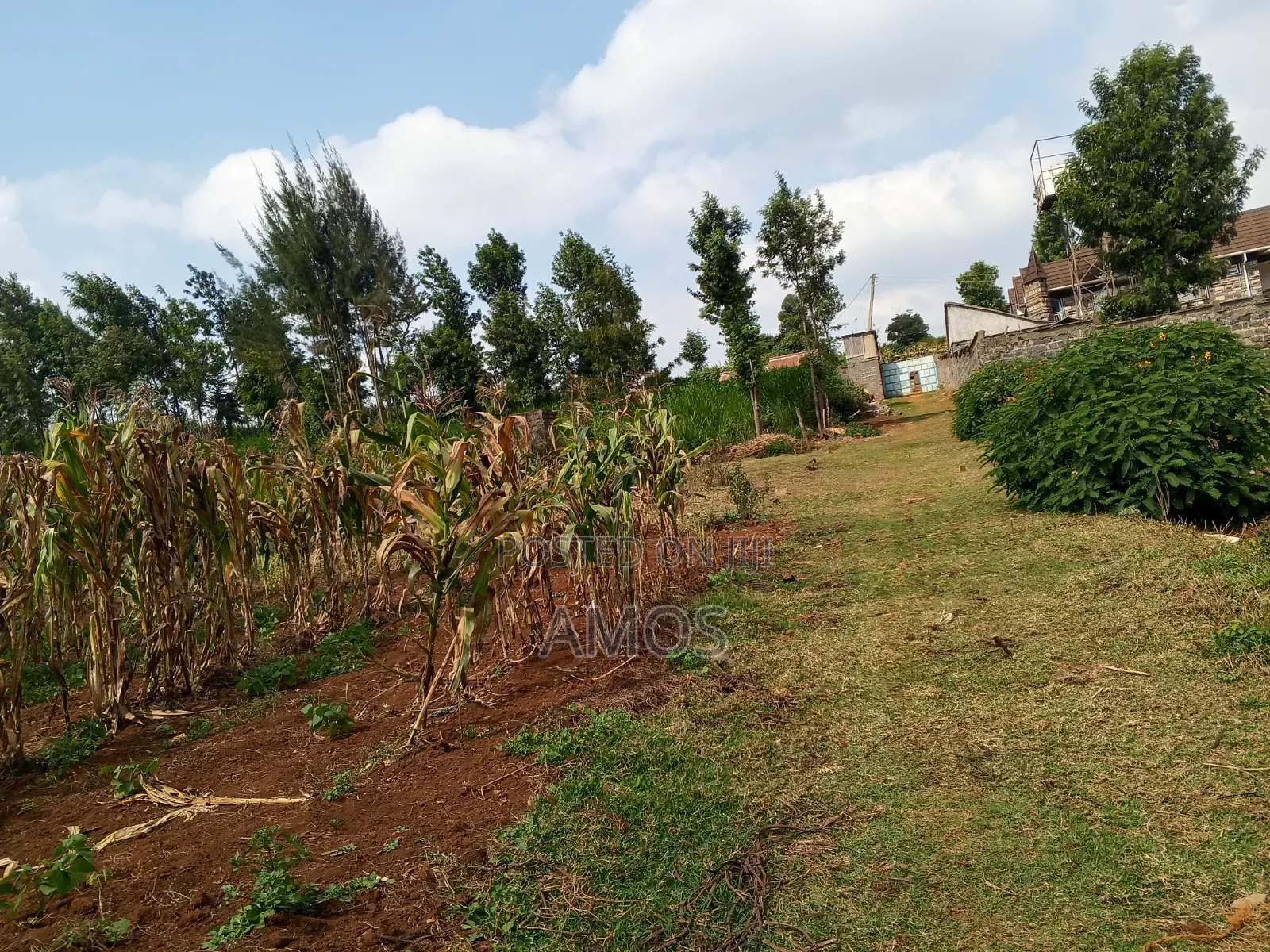 A Full 1⁄8ac Plot Sale in a Middle Class Area of Limuru Kamirithu
