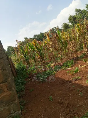 A Full 1⁄8ac Plot Sale in a Middle Class Area of Limuru Kamirithu